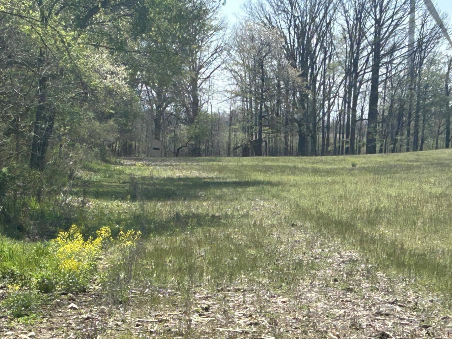 -vl Church Road Hillsdale, MI 49242 - Photo 12 of 22 dr12