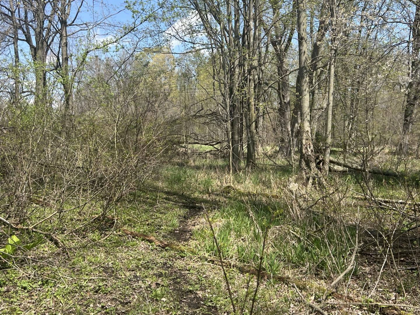 -vl Church Road Hillsdale, MI 49242 - Photo 13 of 22 dr13