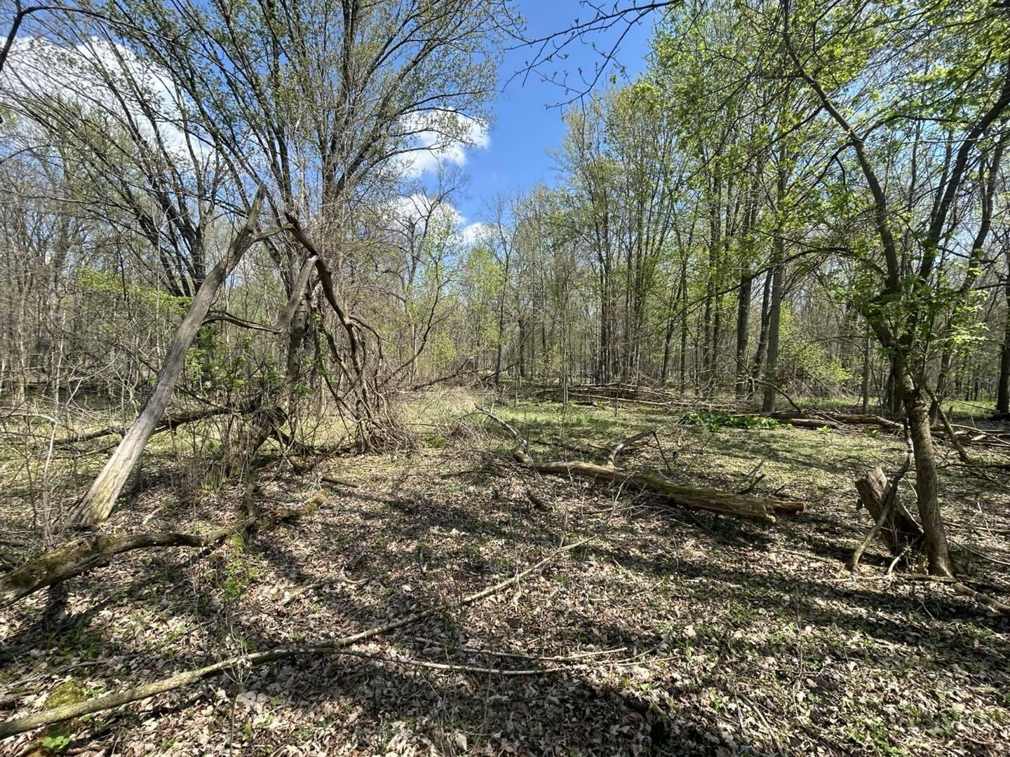 -vl Church Road Hillsdale, MI 49242 - Photo 14 of 22 dr14