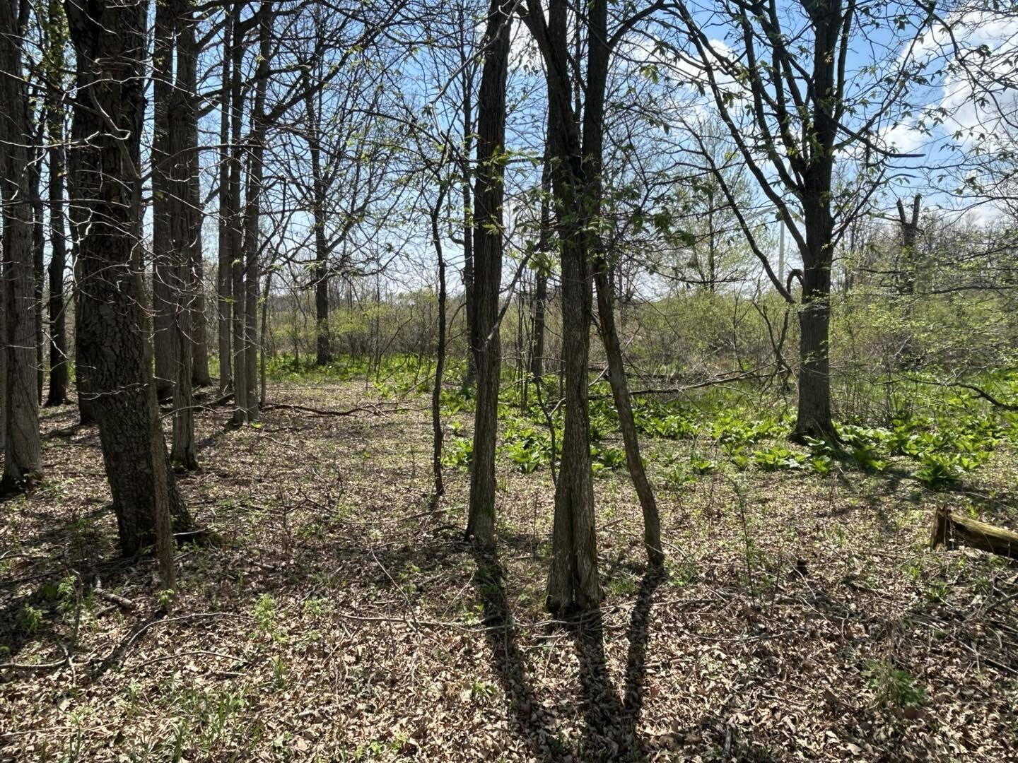 -vl Church Road Hillsdale, MI 49242 - Photo 21 of 22 dr21