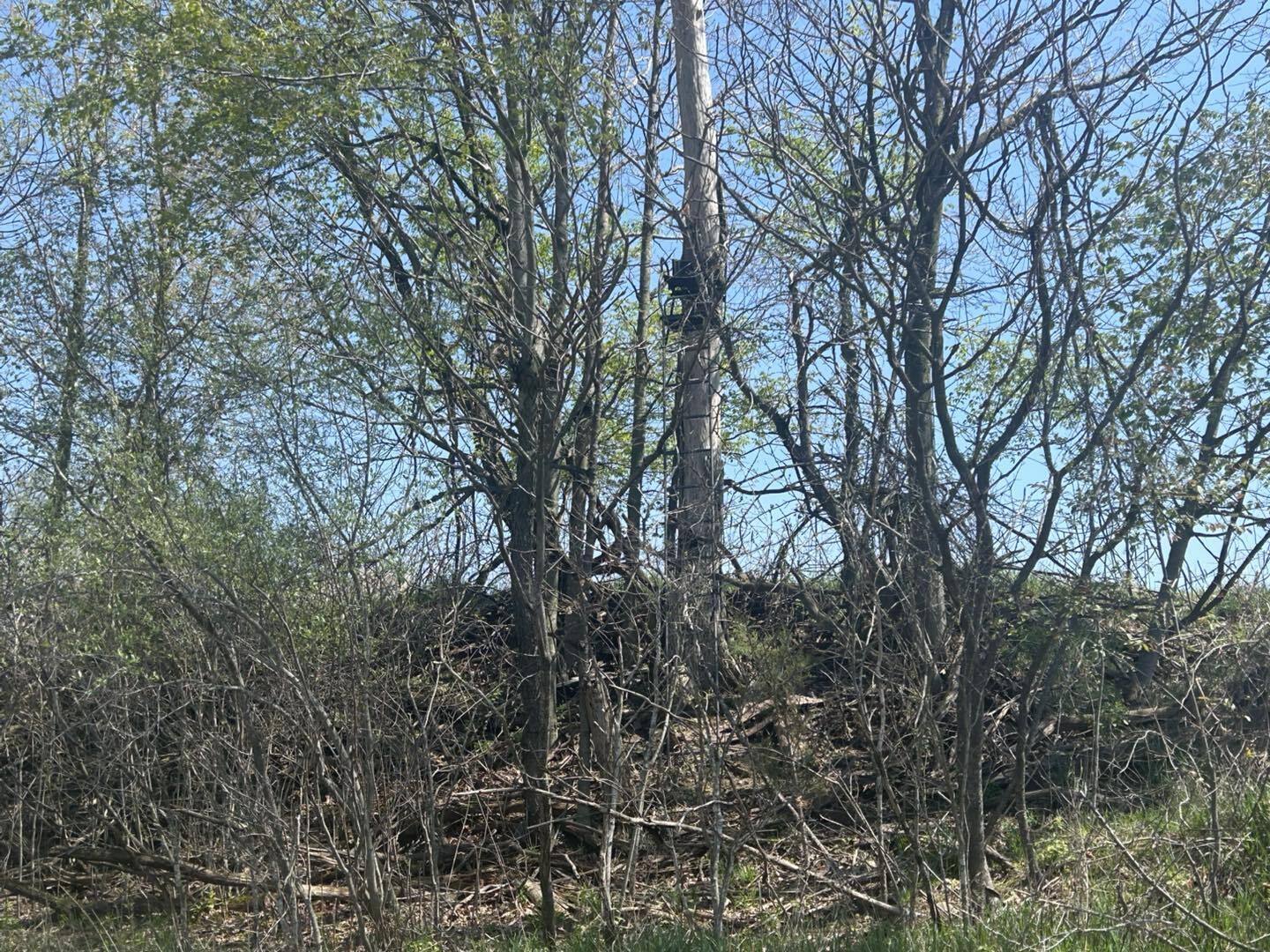 -vl Church Road Hillsdale, MI 49242 - Photo 3 of 22 dr3