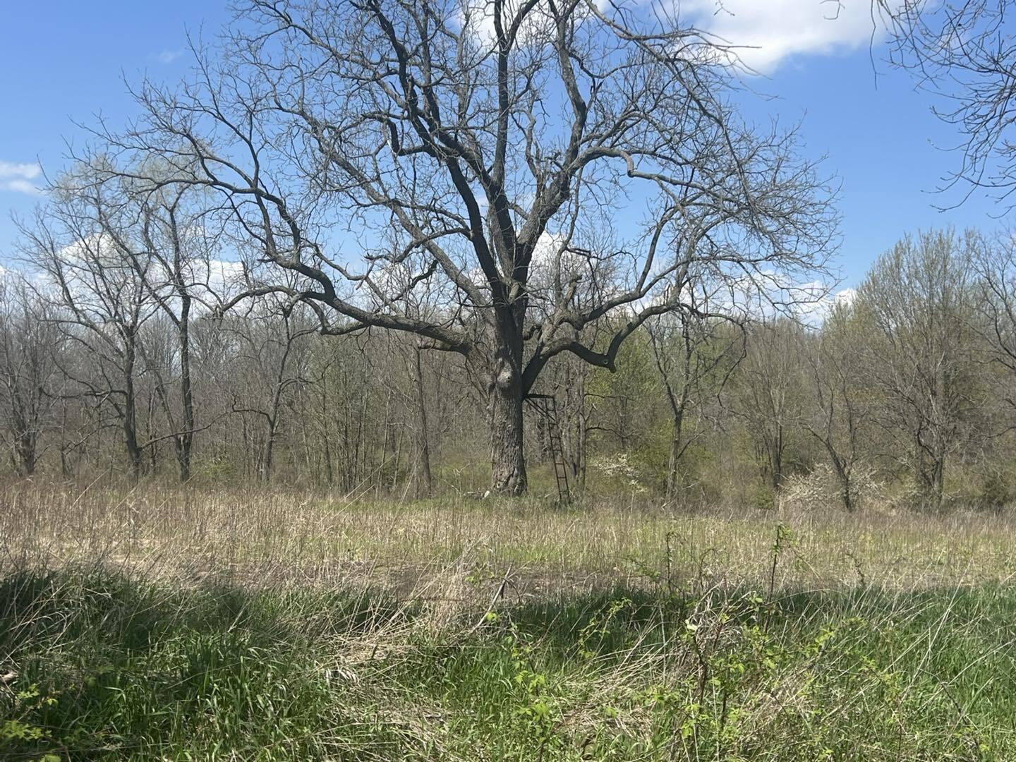 -vl Church Road Hillsdale, MI 49242 - Photo 5 of 22 dr5
