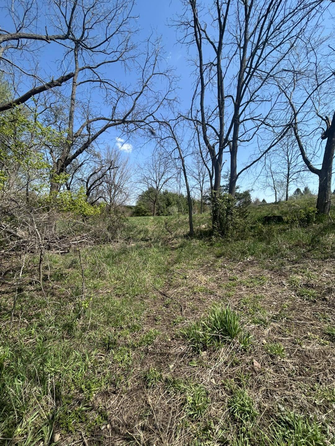 -vl Church Road Hillsdale, MI 49242 - Photo 6 of 22 dr6