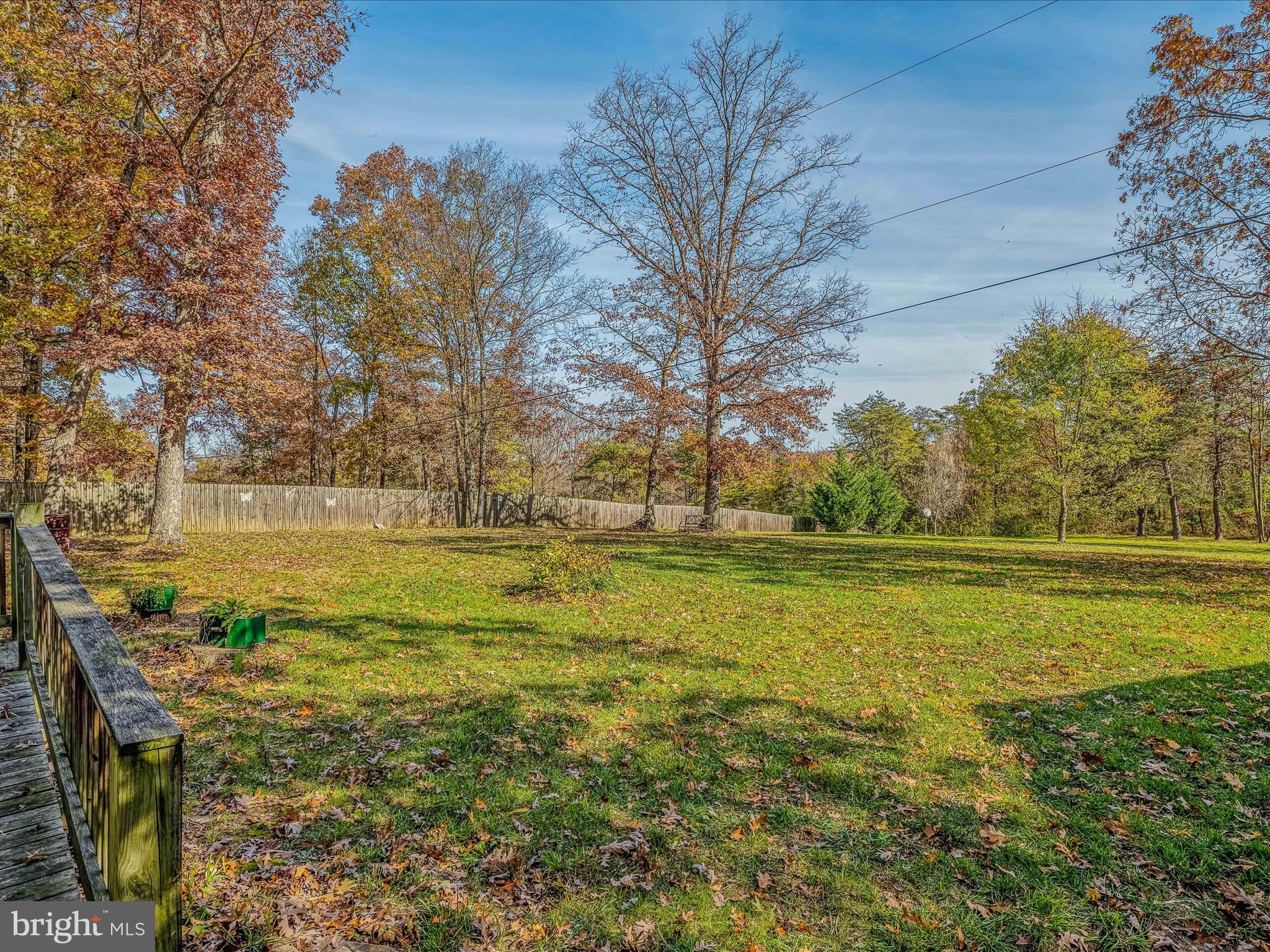 2635 Cacapon Road Berkeley Springs, WV 25411 - Photo 8 of 27 Backyard