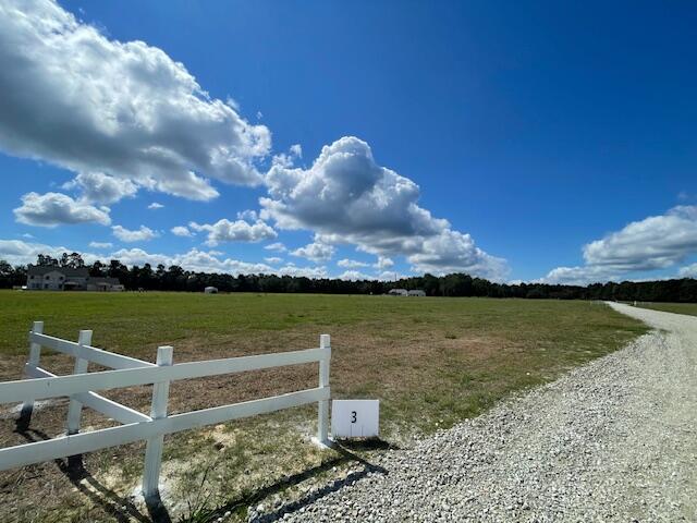 328 Austin Swamp Lane Ridgeville, SC 29472 - Photo 2 of 4 IMG_5531