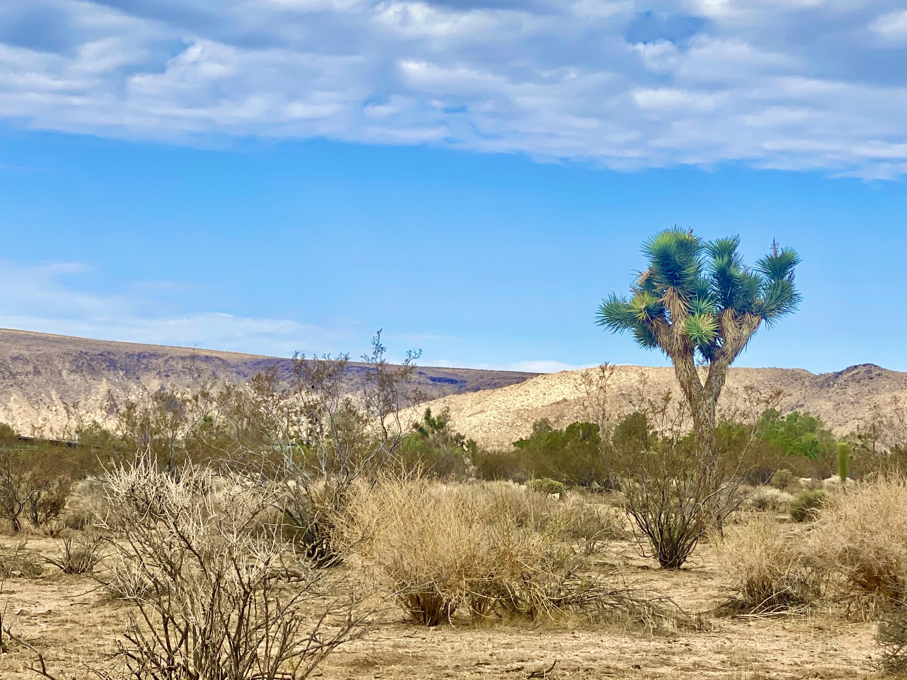 152 Old Woman Springs Road Yucca Valley, CA 92284 - Photo 13 of 32 a view of ocean