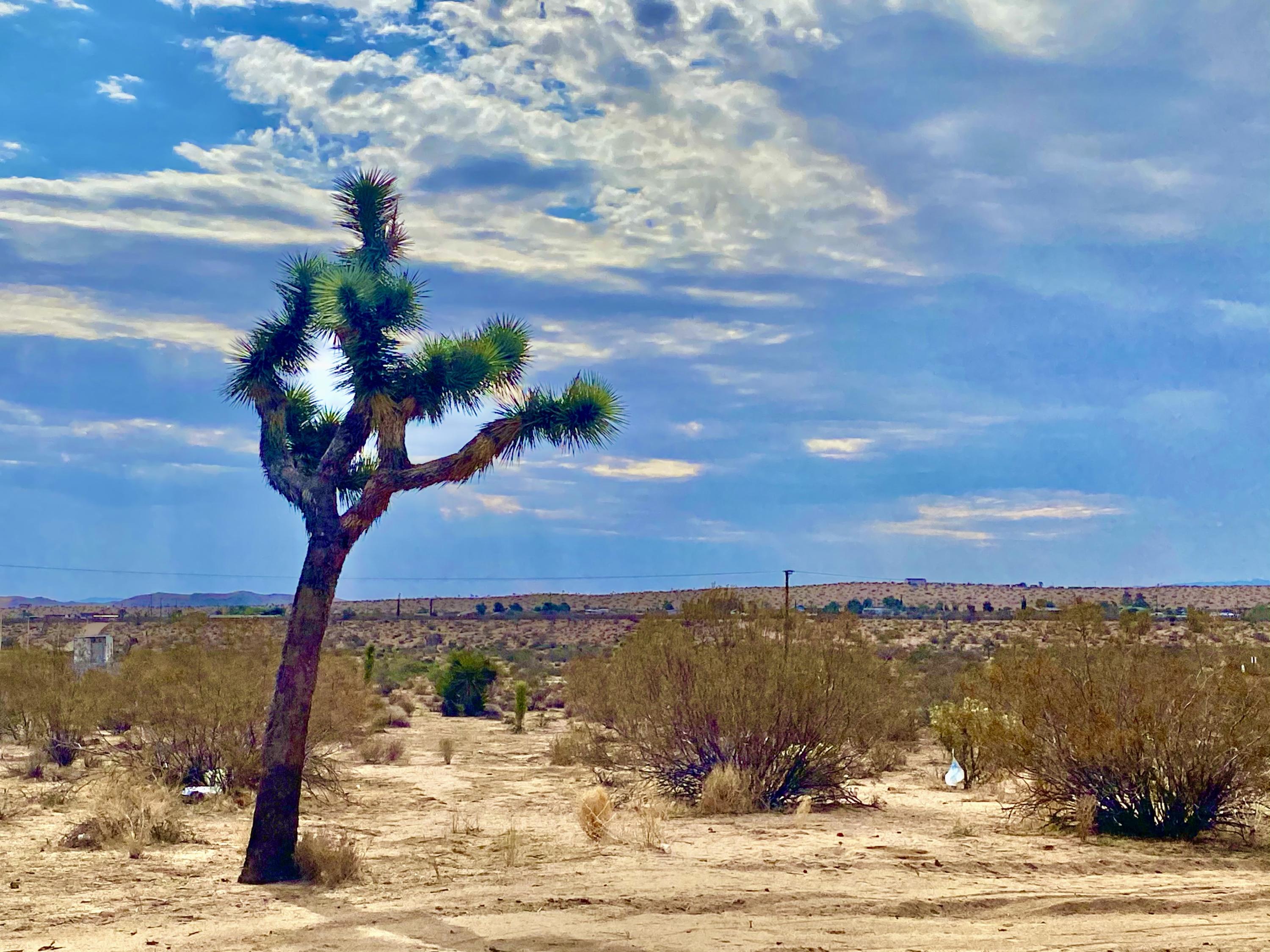 152 Old Woman Springs Road Yucca Valley, CA 92284 - Photo 15 of 32 a view of a city