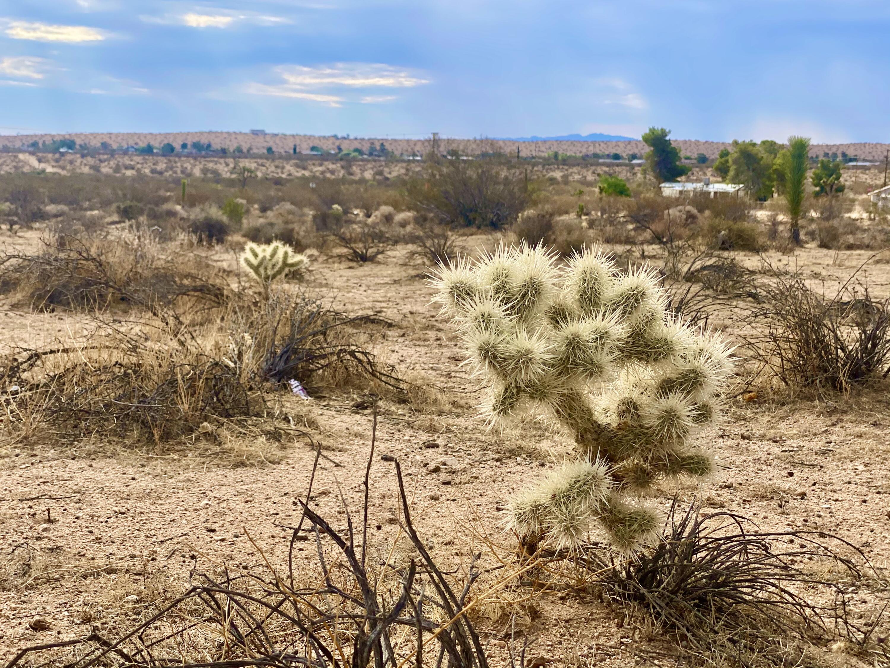 152 Old Woman Springs Road Yucca Valley, CA 92284 - Photo 18 of 32 a view of a sky