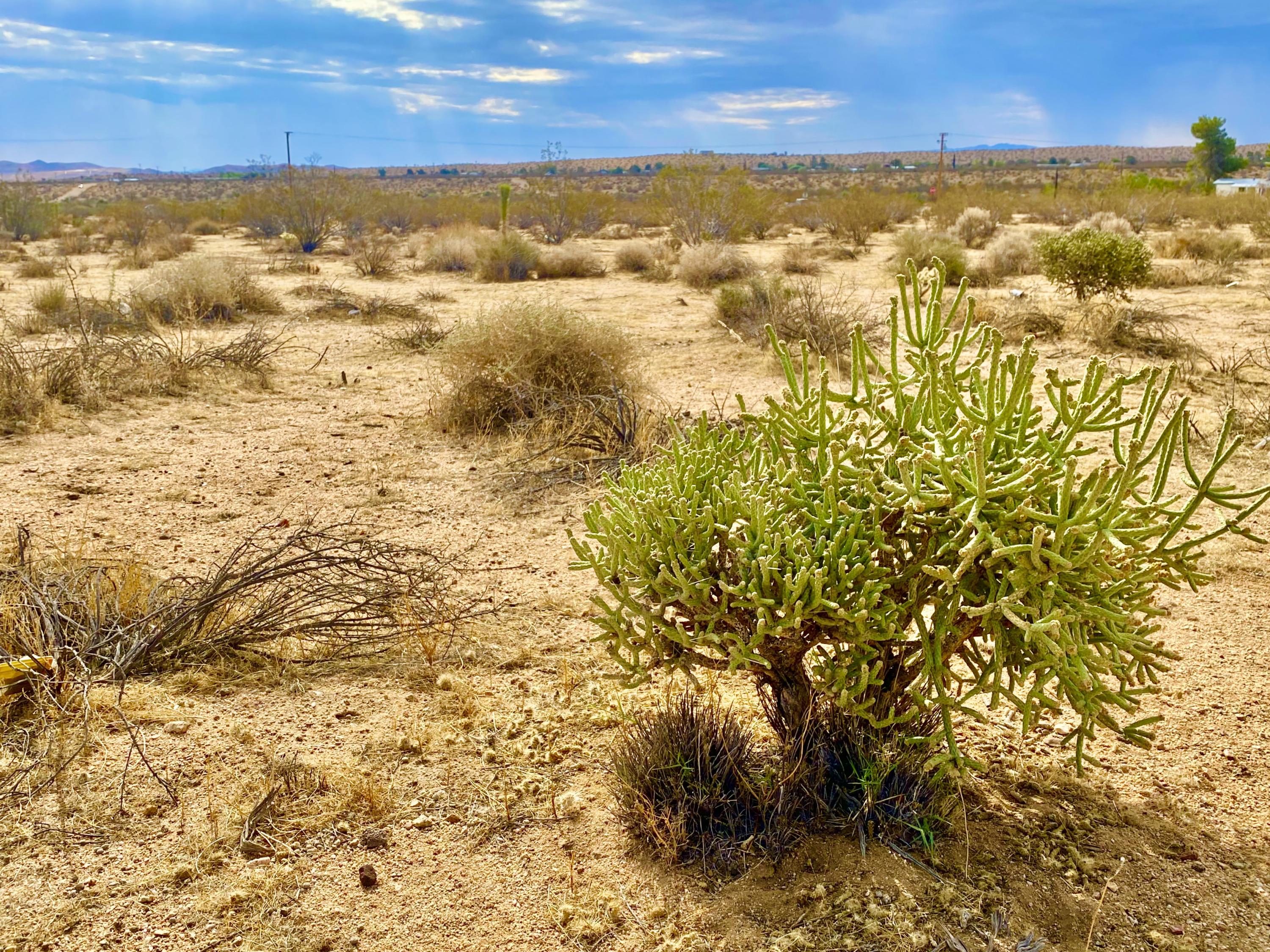 152 Old Woman Springs Road Yucca Valley, CA 92284 - Photo 20 of 32 a view of city and ocean