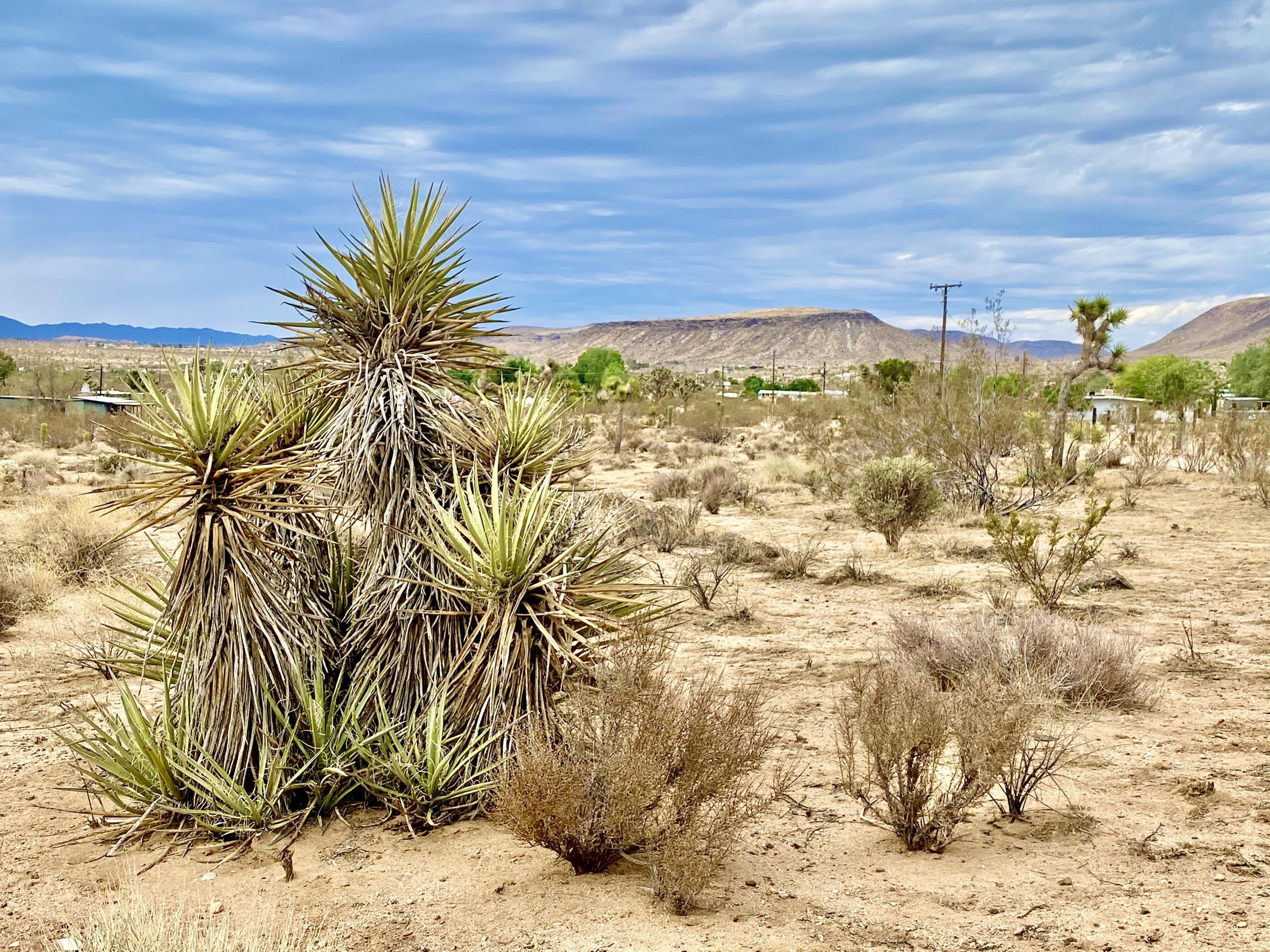 152 Old Woman Springs Road Yucca Valley, CA 92284 - Photo 22 of 32 a view of a ocean