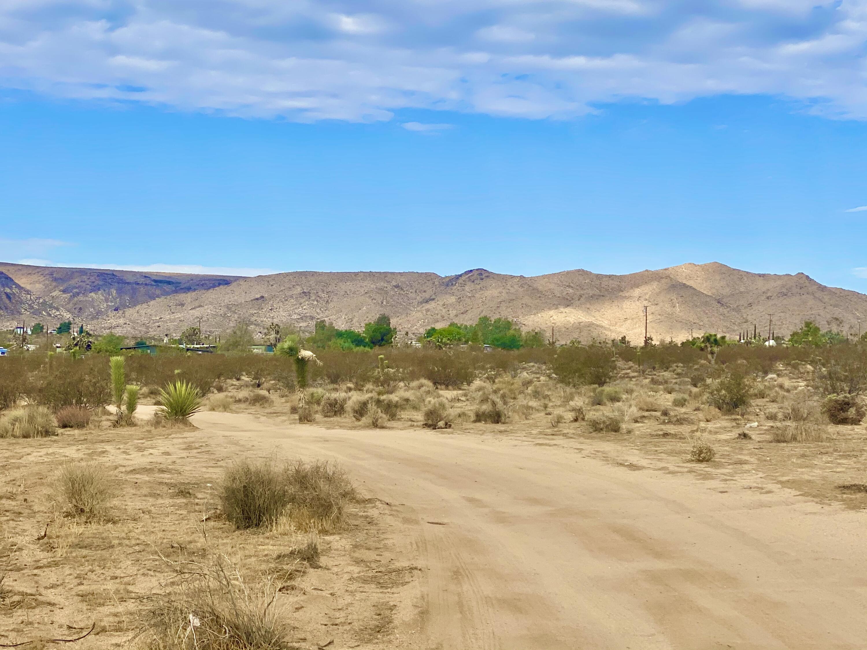 152 Old Woman Springs Road Yucca Valley, CA 92284 - Photo 7 of 32