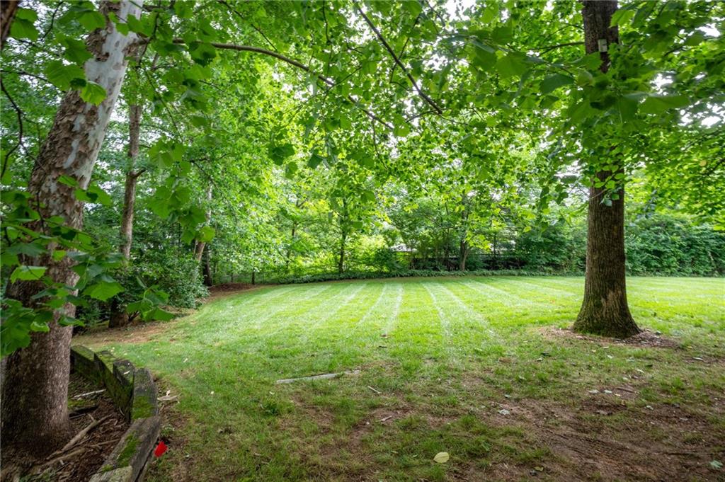 1904 Rena Lane Dalton, GA 30720 - Photo 59 of 63