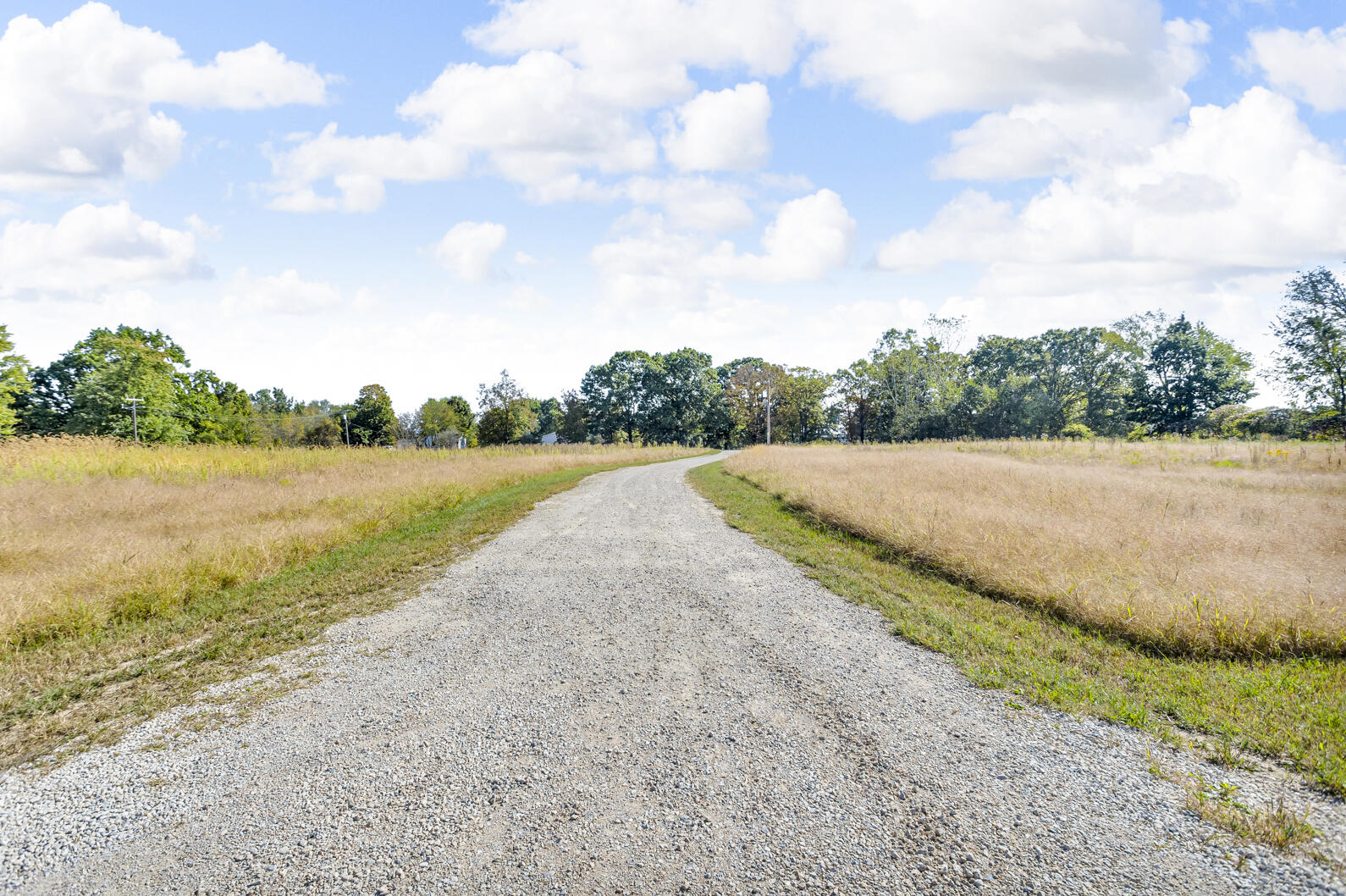 2343 Gramer Road Webberville, MI 48892 - Photo 36 of 49 0N0A4497