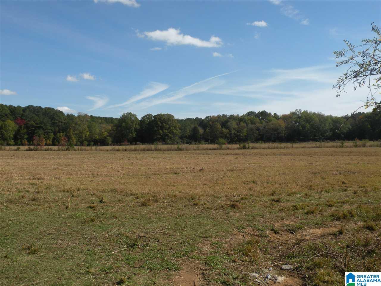 4950 Plantersville Road Alpine, AL 35014 - Photo 31 of 47 Gallery Image 31