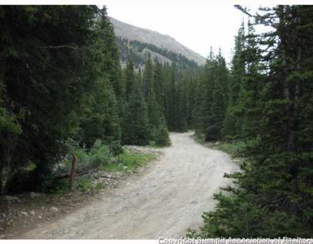 67 Webster Pass Road Dillon, CO 80435 - Photo 3 of 8 Land/Lot.