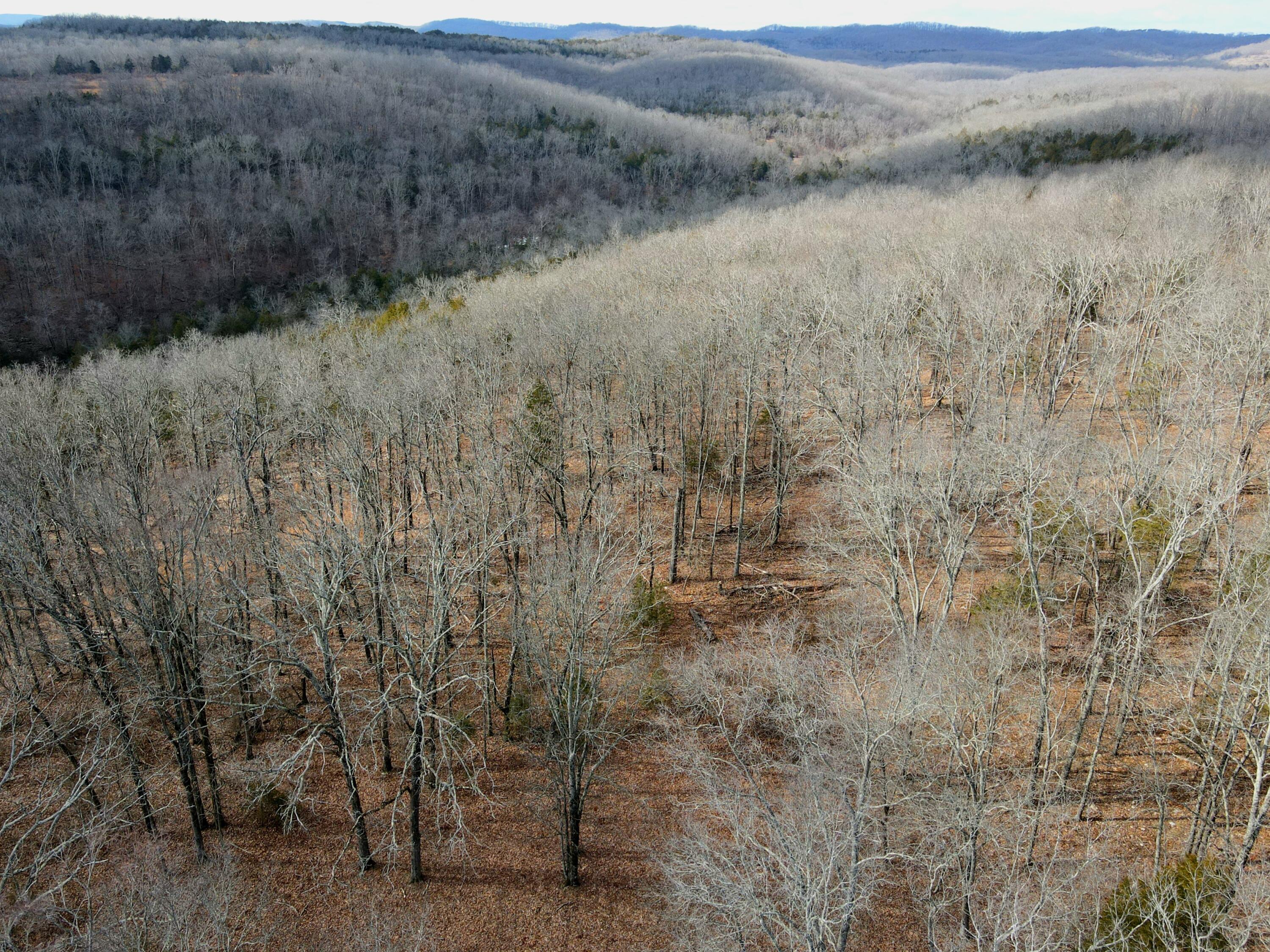 0 Hickory Flats Road Ava, MO 65608 - Photo 44 of 46 dji_fly_20250123_113326_268_173767862690