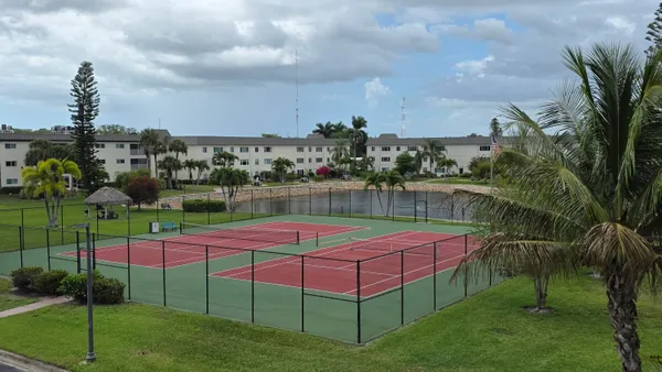 a small garden covered with tall trees