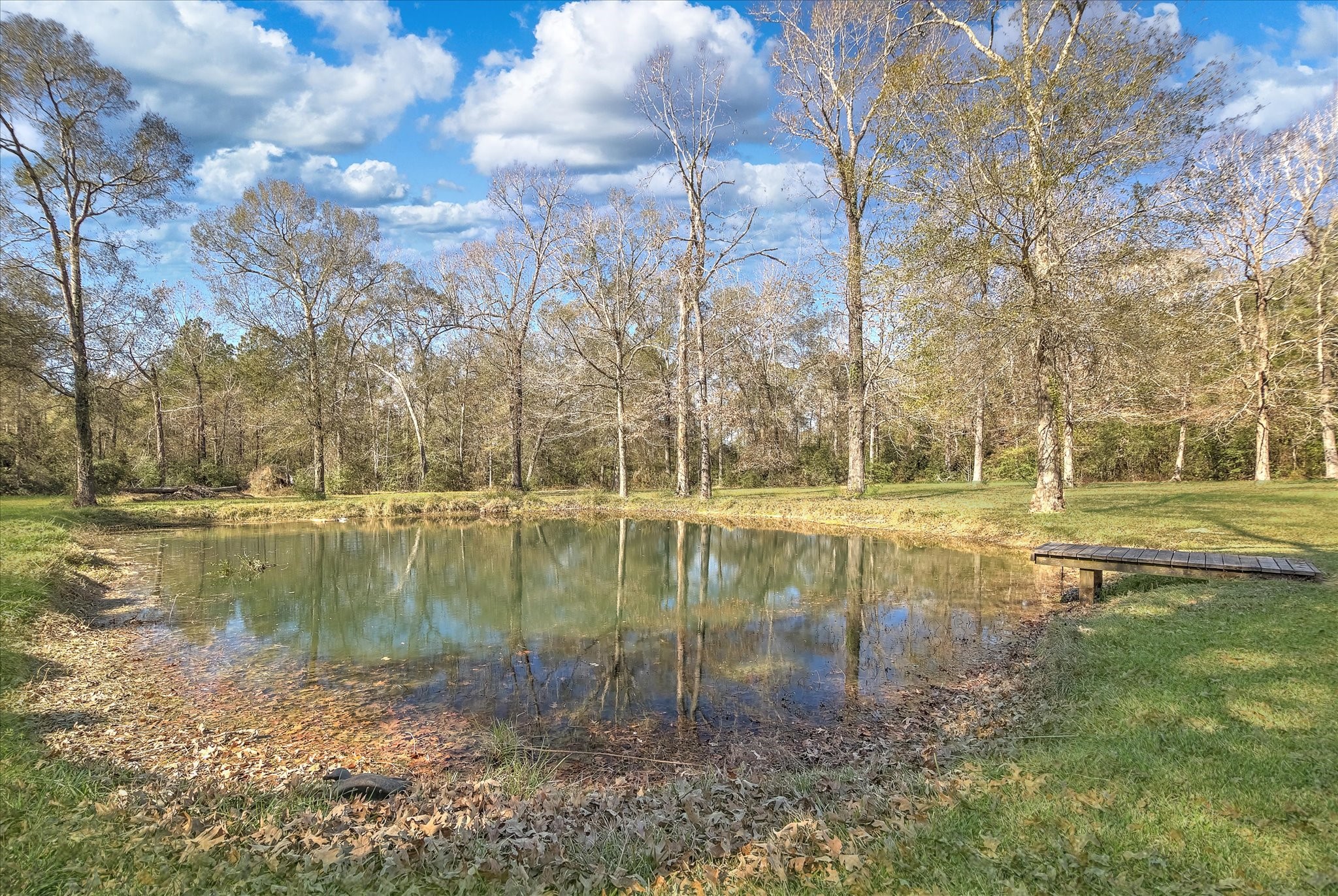 3850 Farm To Market 1010 Road Cleveland, TX 77327 - Photo 39 of 49 a view of lake with green space