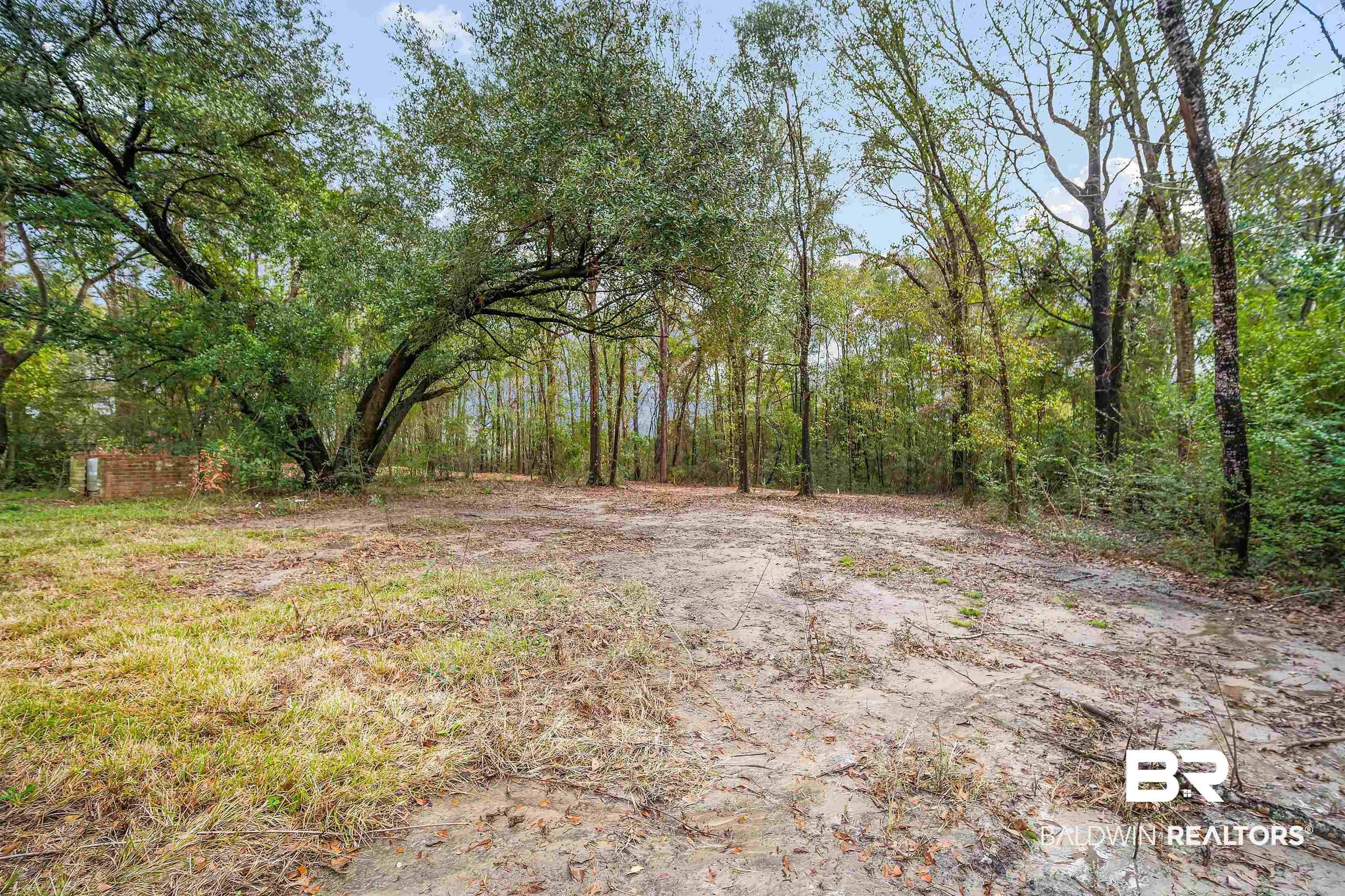 5110 Wilmer Road Wilmer, AL 36587 - Photo 24 of 24 View of yard