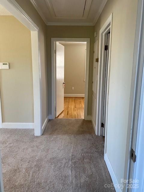 10320 Hartsell Road Midland, NC 28107 - Photo 10 of 11 Gallery Image 10