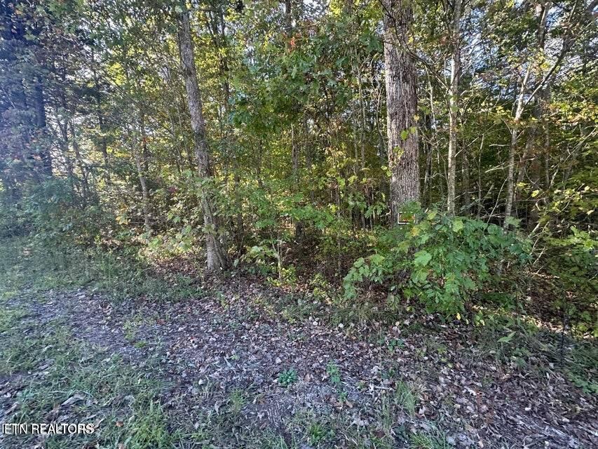 0 Falling Leaf Road Jamestown, TN 38556 - Photo 12 of 35 Gallery Image 12