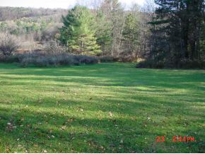 74 Page Brook Road Whitney Point, NY 13862 - Photo 2 of 12