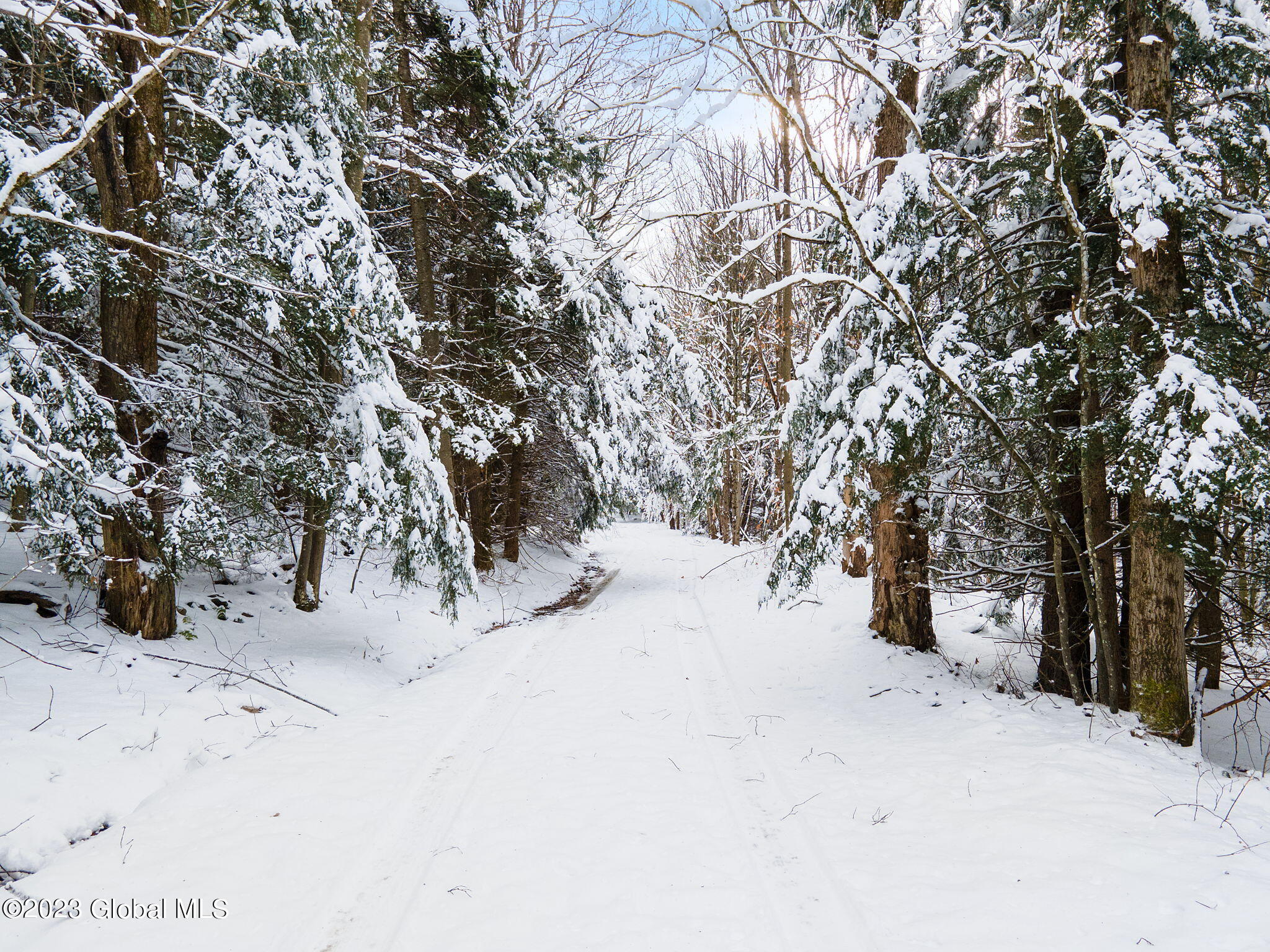 273 Mud Lake Road Summit, NY 12175 - Photo 19 of 27 19-web-or-mls-273MudLakeRd_19