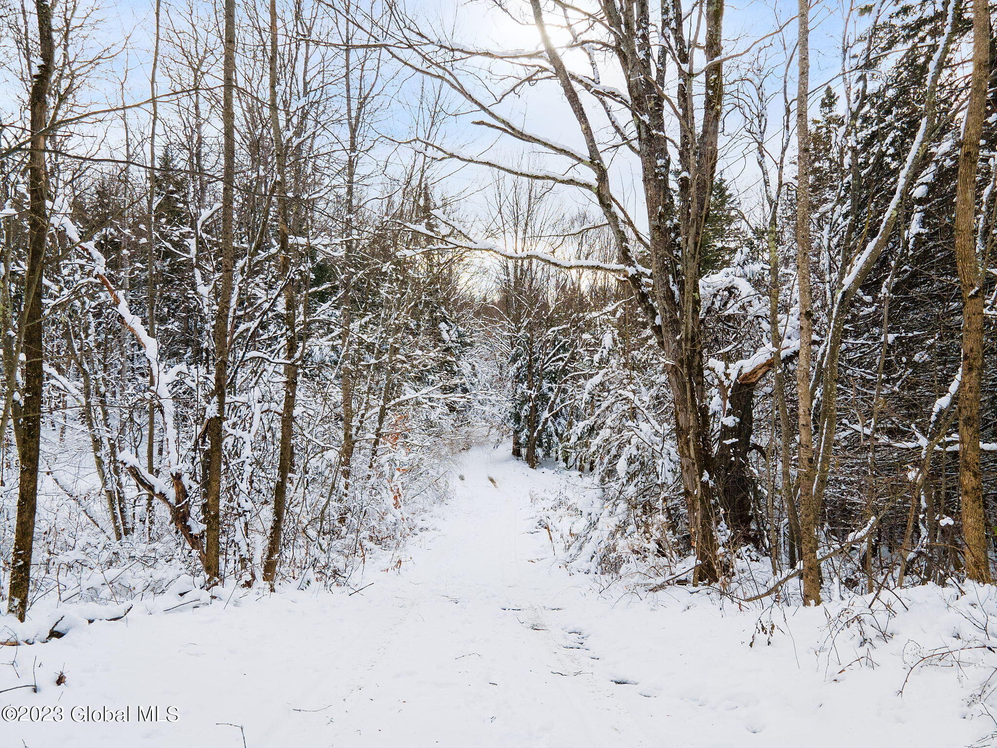 273 Mud Lake Road Summit, NY 12175 - Photo 20 of 27 21-web-or-mls-273MudLakeRd_21