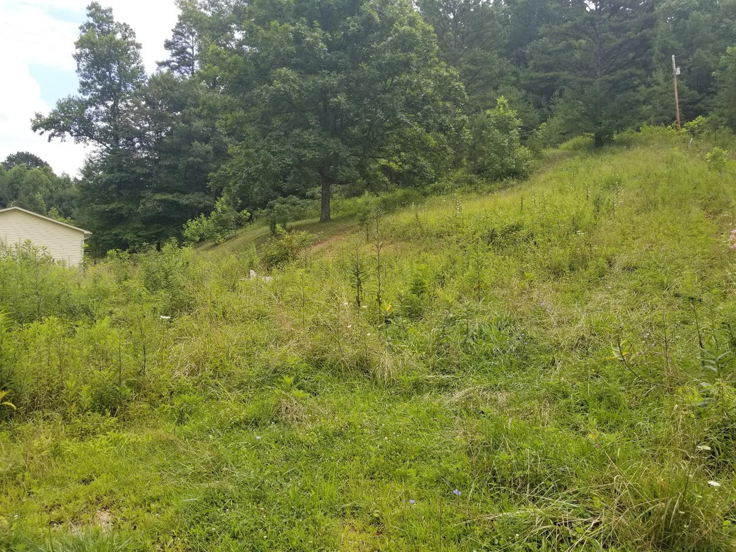 135 Ingram Road Tyner, KY 40486 - Photo 3 of 23 Photo 3