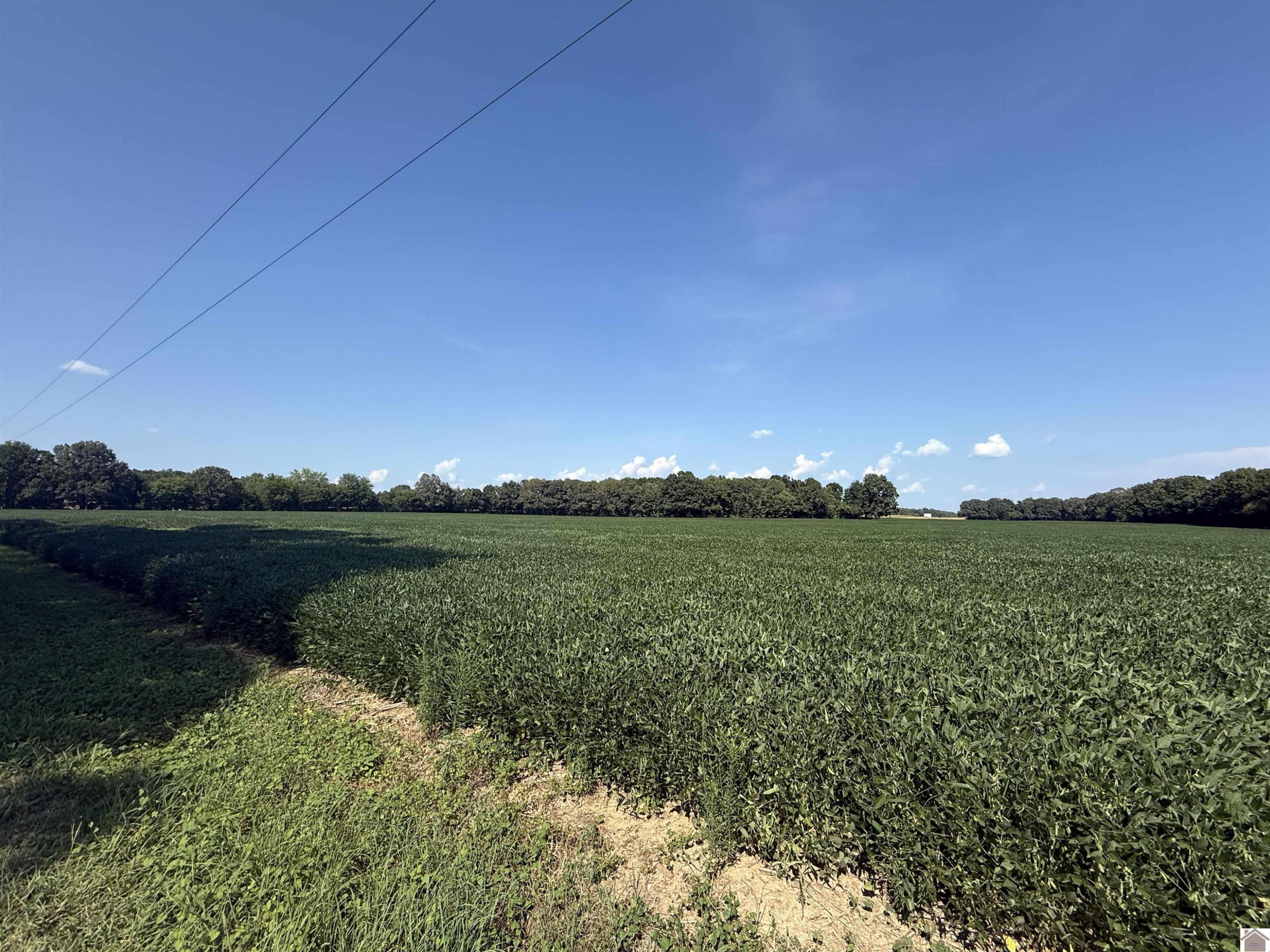 0 Penny Road Hardin, KY 42048 - Photo 2 of 4 Photo 2