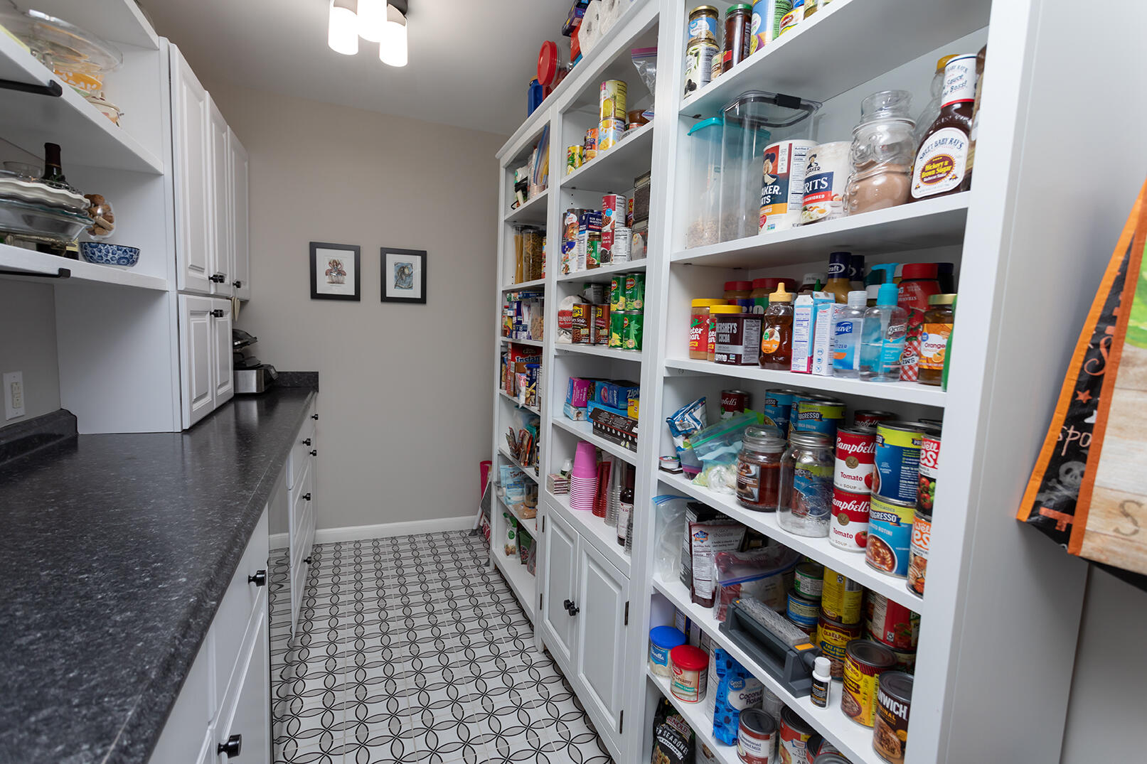 158 Abbey Road Ringgold, GA 30736 - Photo 12 of 36 4M4A8208 copy