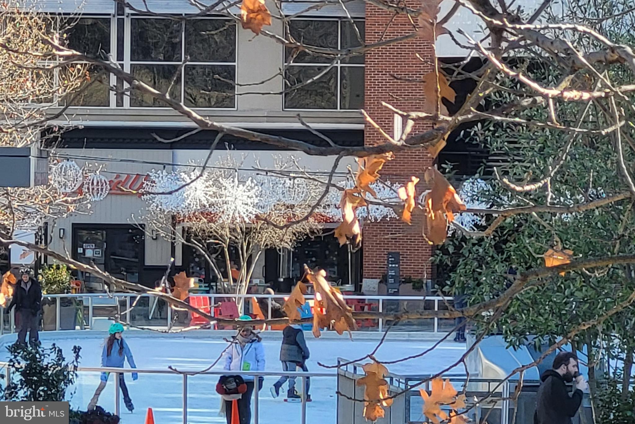 1200 South Arlington Ridge Road, Unit 710 Arlington, VA 22202 - Photo 25 of 26 Pentagon Row Ice Rink