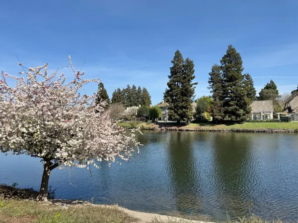 $515,000 | 3659 St Andrews Drive, Stockton, CA 95219