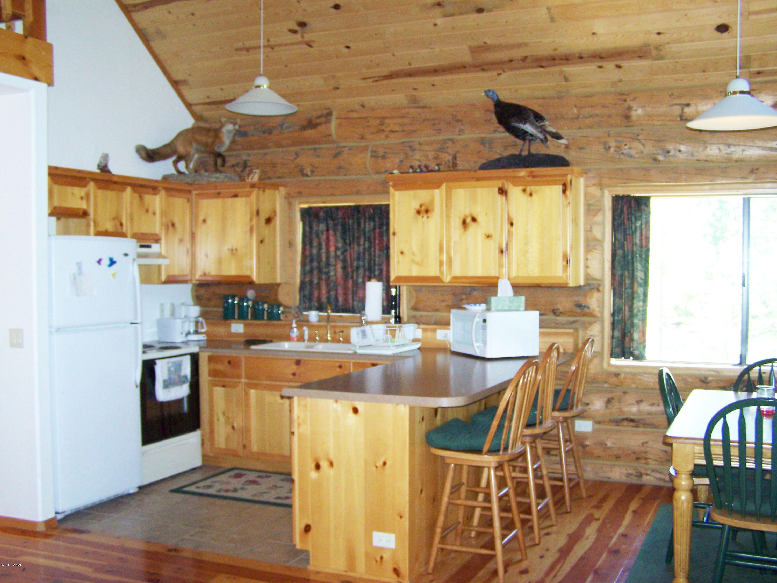 41 County Road Alpine, AZ 85920 - Photo 13 of 22