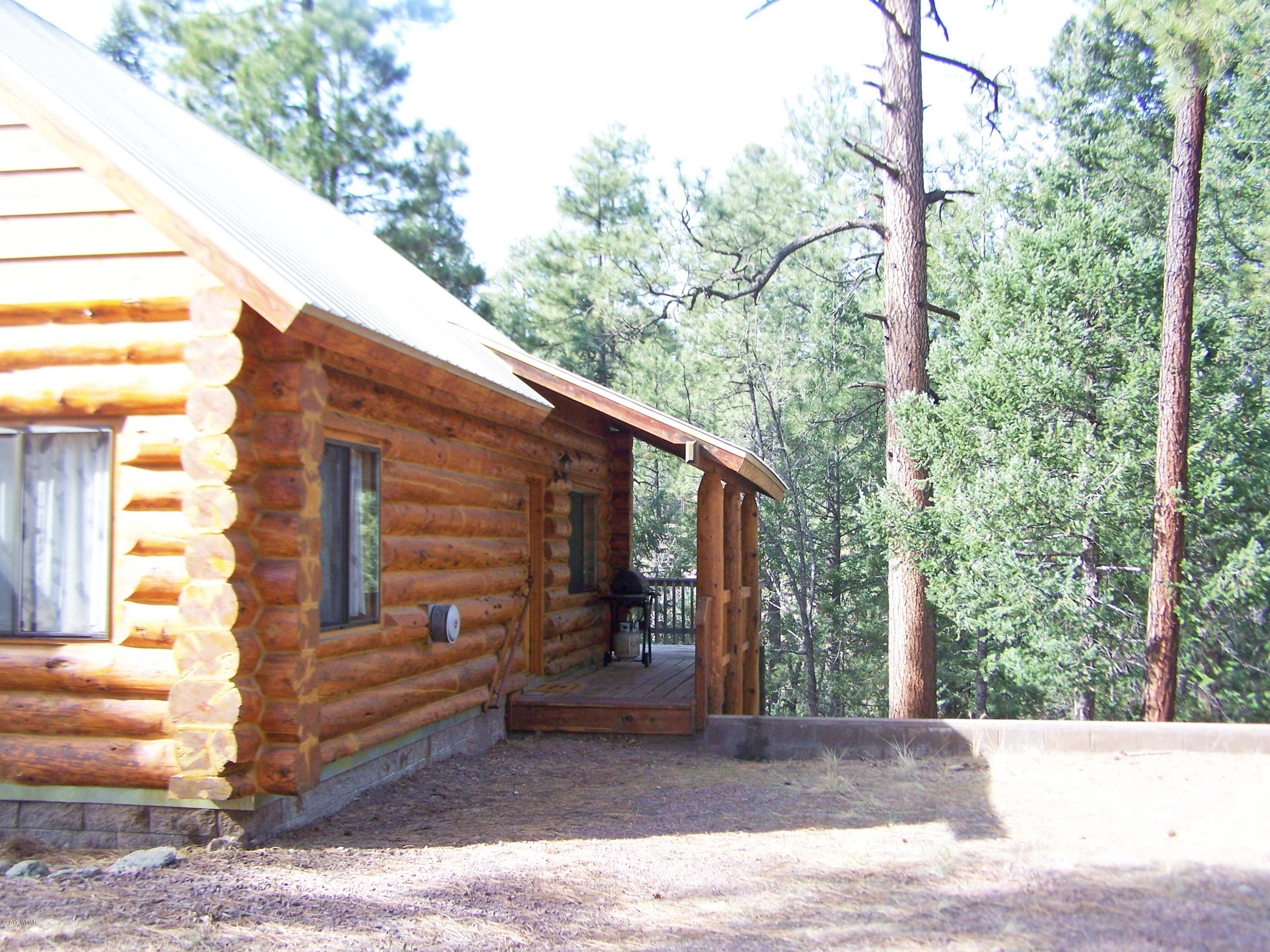 41 County Road Alpine, AZ 85920 - Photo 2 of 22