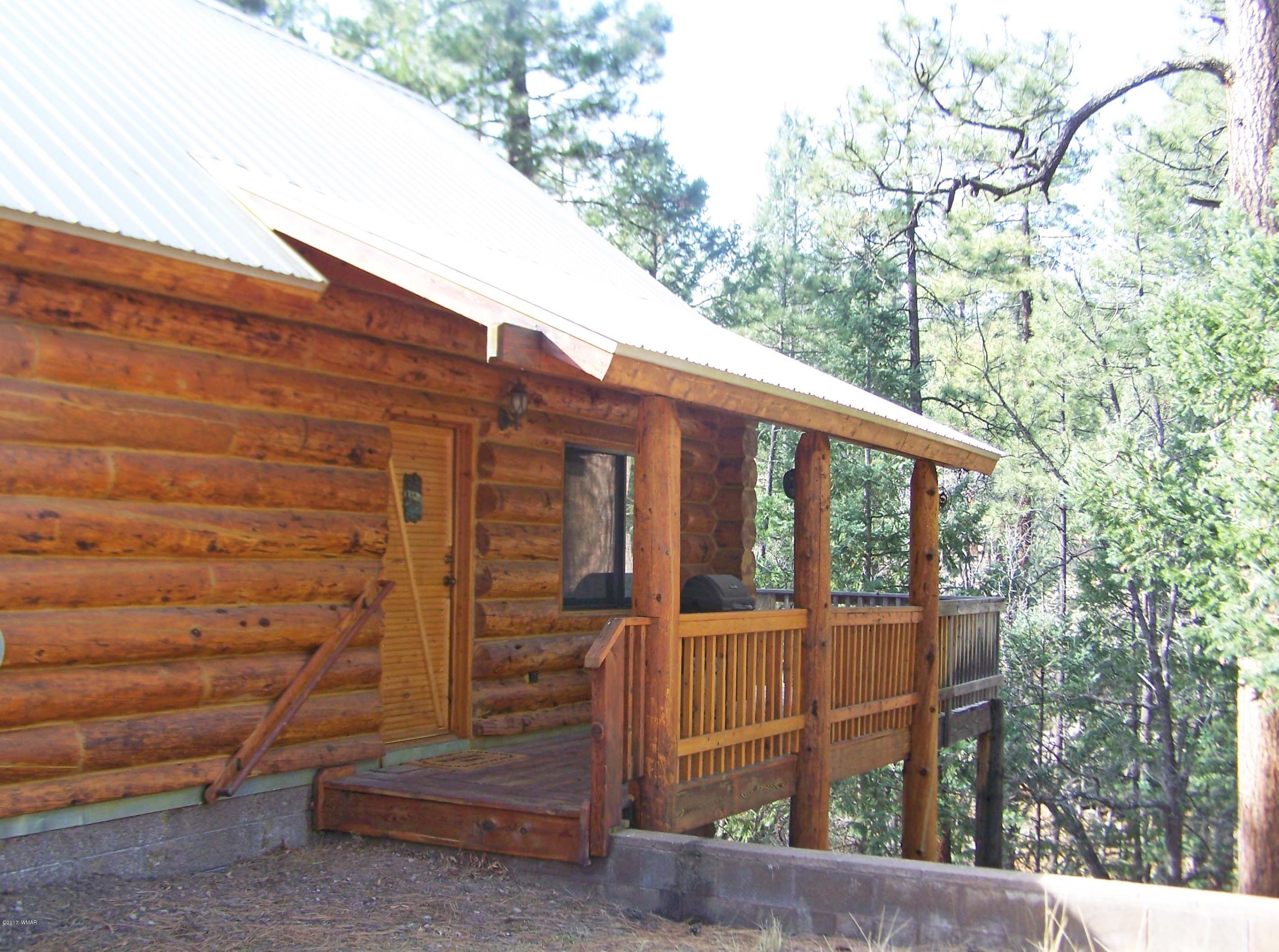 41 County Road Alpine, AZ 85920 - Photo 3 of 22