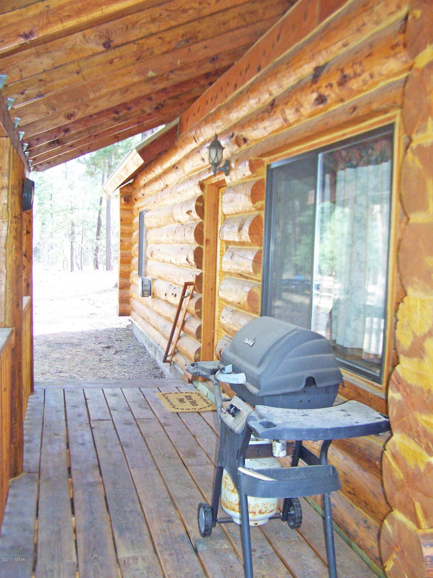 41 County Road Alpine, AZ 85920 - Photo 4 of 22