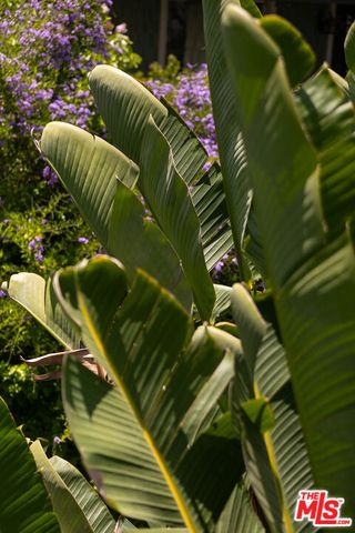 a view of an outdoor sitting area with chairs and umbrella