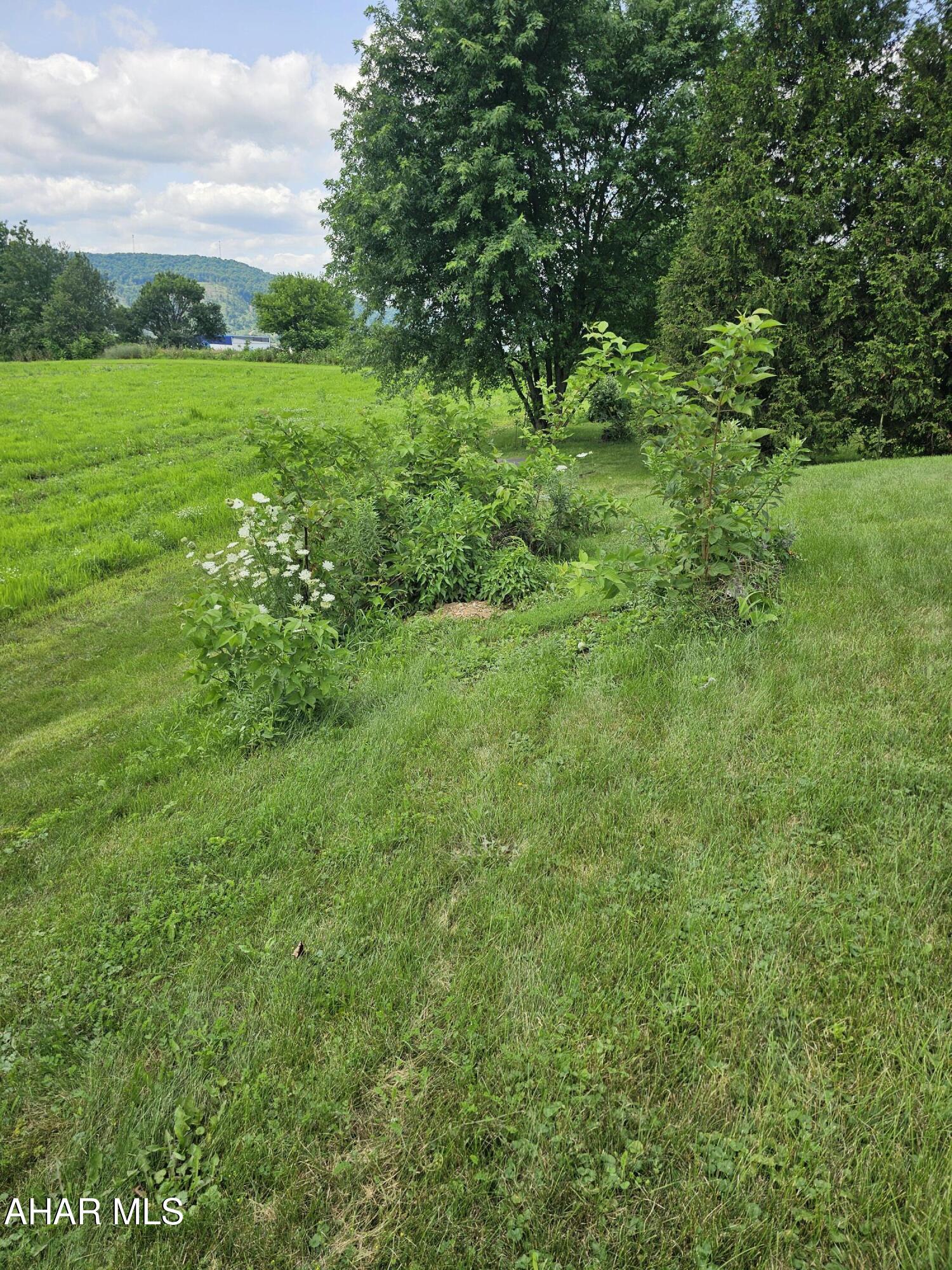 514 Cove Ln Road Roaring Spring, PA 16673 - Photo 14 of 57