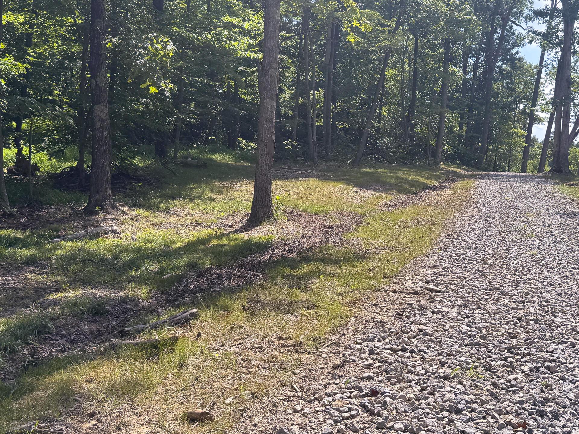 272 Golf Course Road, Unit TRACT 8 SKYLINEACRES) Waverly, OH 45690 - Photo 3 of 40 CT-3