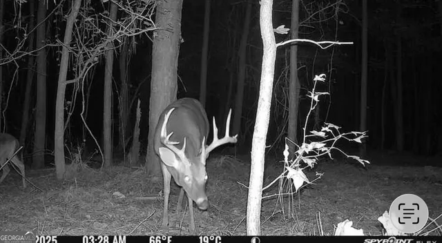 $120,000 | 596 Arnett School Road, Sylvania, GA 30467