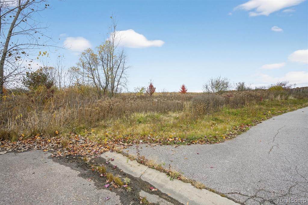 6434 Bristol Road Swartz Creek, MI 48473 - Photo 19 of 29