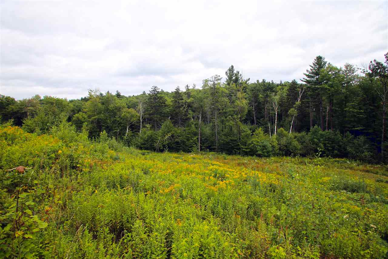 124 Berlin Road Townshend, VT 05146 - Photo 22 of 40