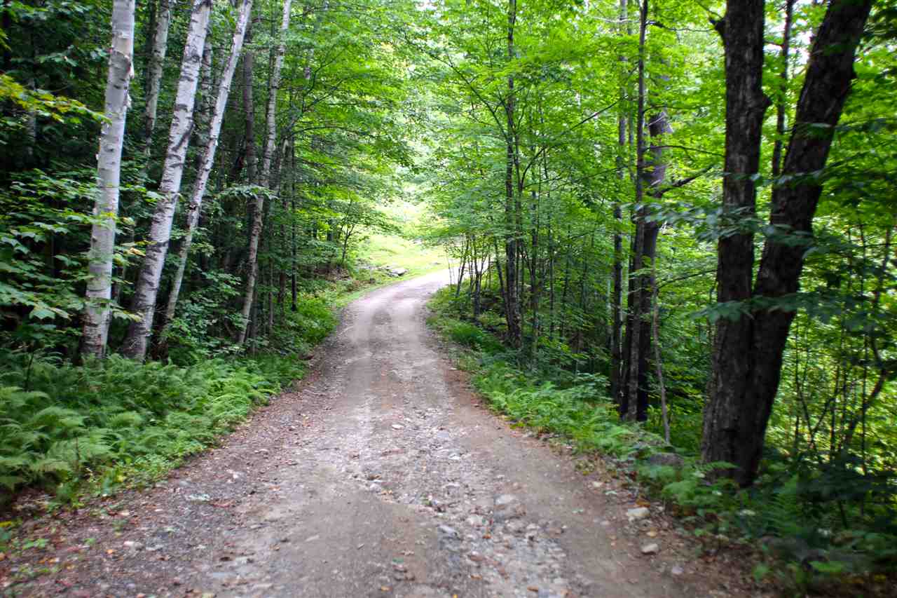 124 Berlin Road Townshend, VT 05146 - Photo 8 of 40