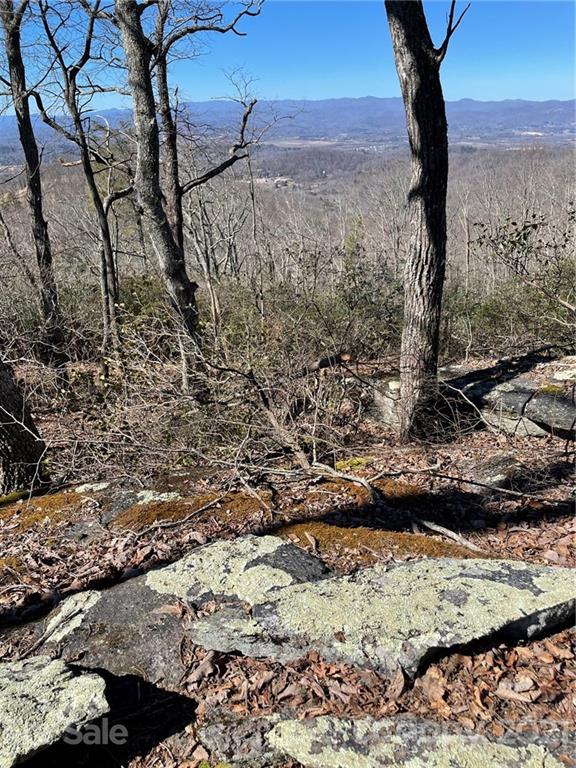 55 Couch Mountain, Unit 55 Fletcher, NC 28732 - Photo 8 of 10 a view of a yard with wooden fence