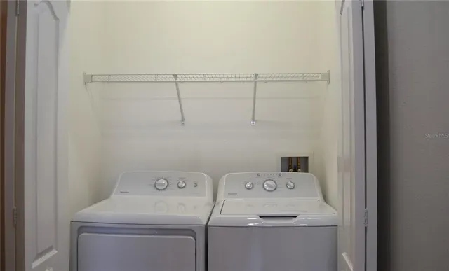 a view of a garden with a tree