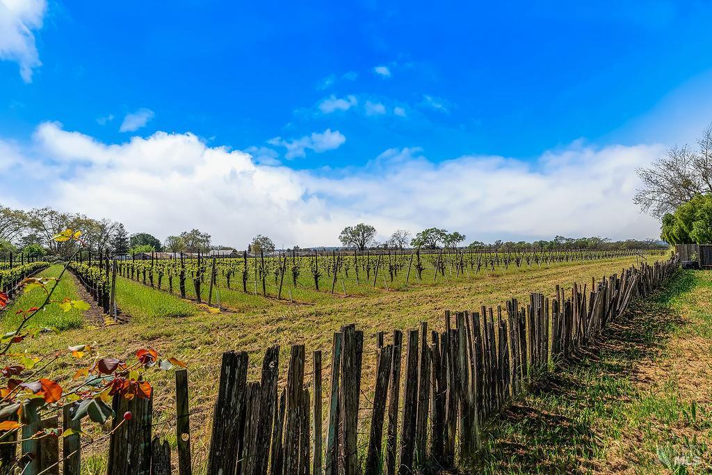 878 Pauline Court Santa Rosa, CA 95401 - Photo 23 of 36 a view of a lake with a yard