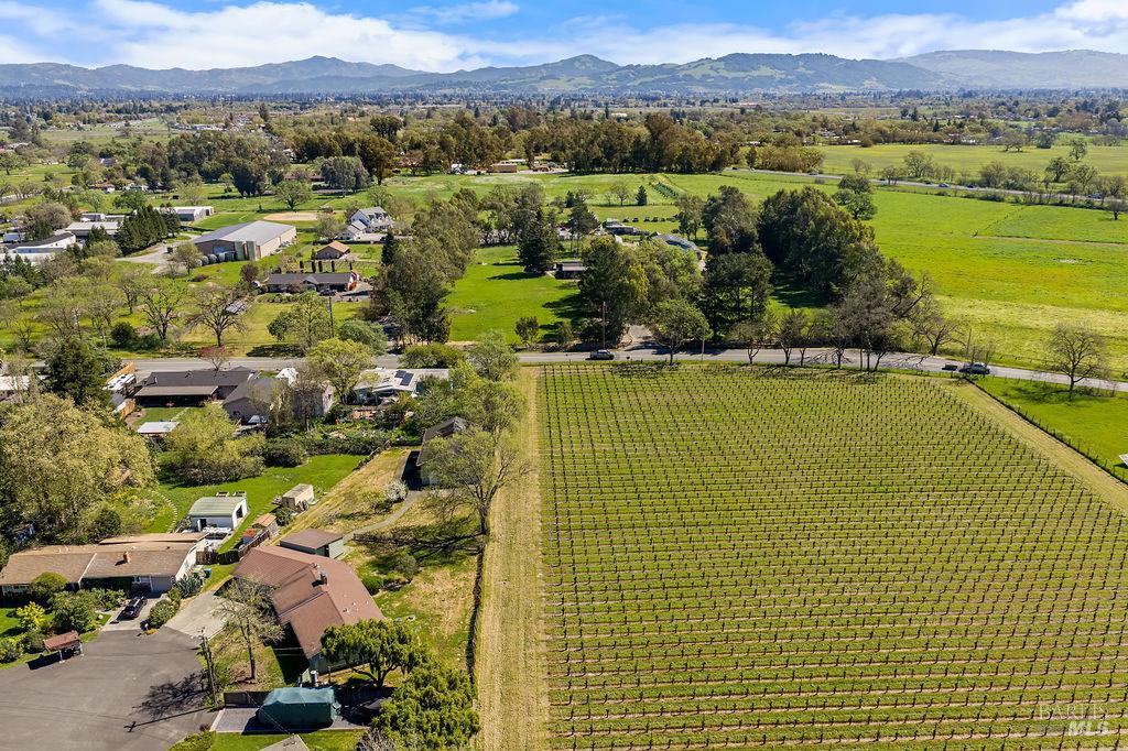 878 Pauline Court Santa Rosa, CA 95401 - Photo 34 of 35