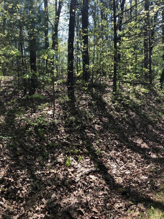 0 Vittetoe Road Chickamauga, GA 30707 - Photo 1 of 1 0 vittetoe road
