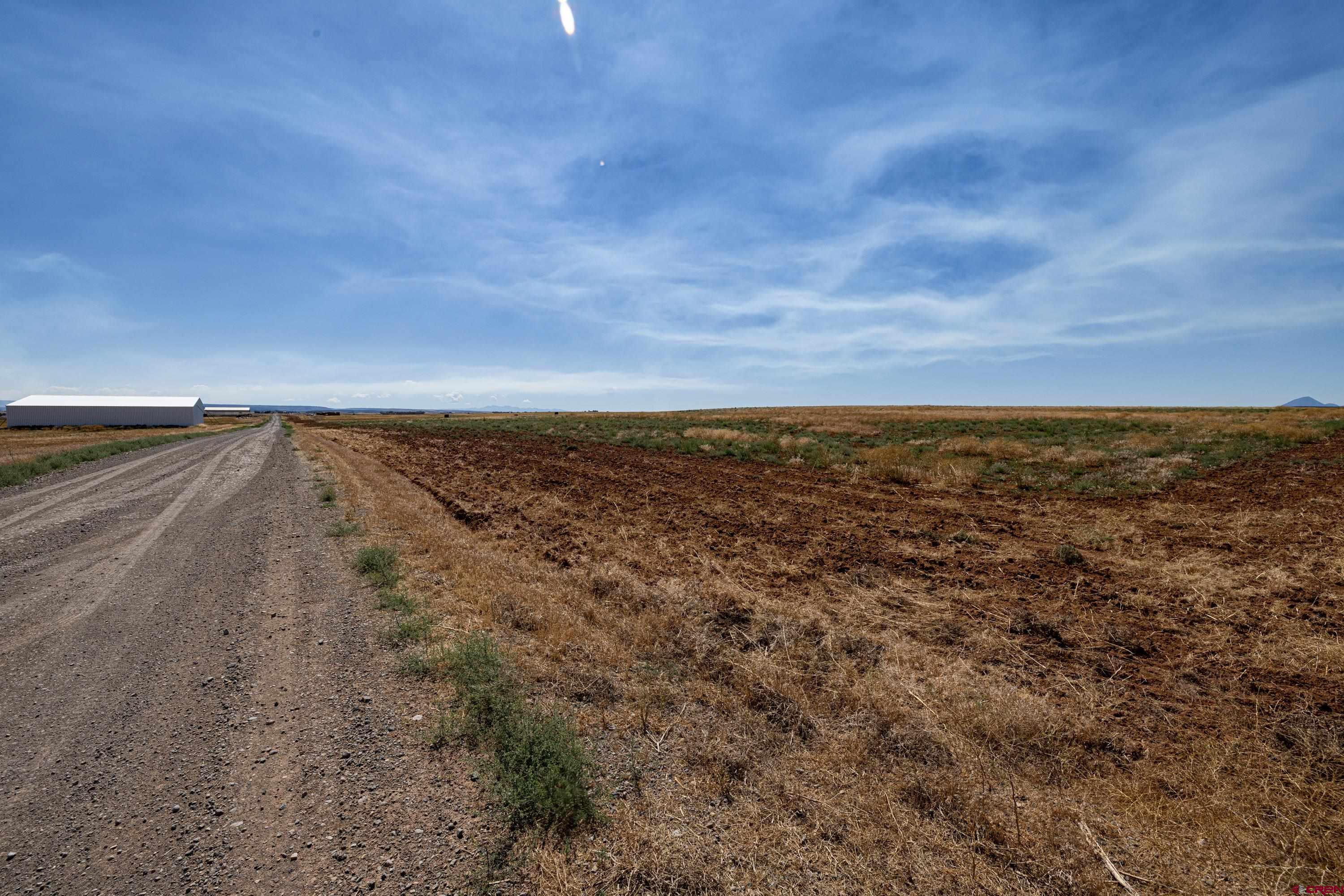 Tbd Tbd Road Pleasant View, CO 81331 - Photo 6 of 17